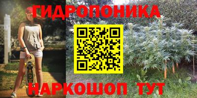 прущие грибы Тула