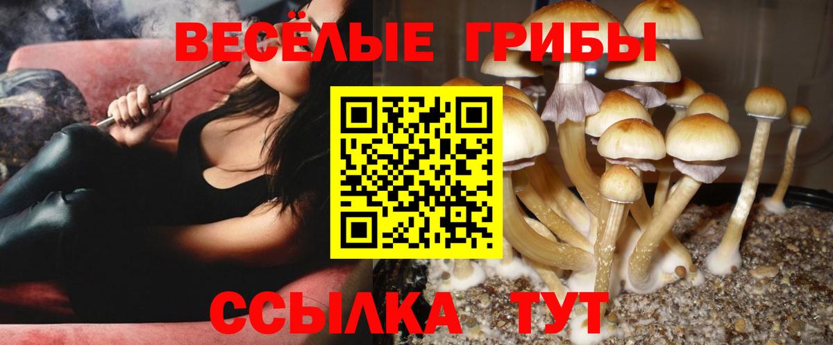 Псилоцибиновые грибы MAGIC MUSHROOMS Мичуринск