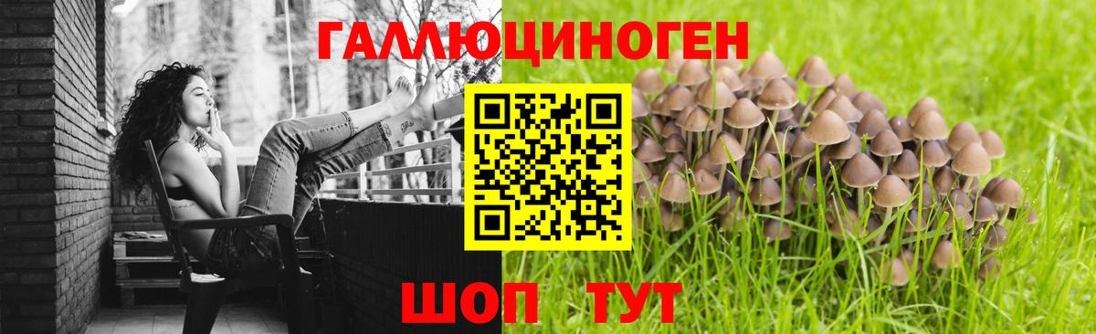 Мичуринск  Галлюциногенные грибы Psilocybe  Вход с VPN 